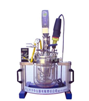 Reactor-5L 實驗室均質(zhì)乳化系統(tǒng)反應(yīng)器