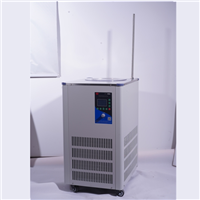 DLSB-100L低溫冷卻液循環(huán)泵